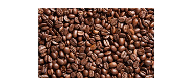 ���ȶ���ĥǰ